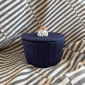 Boîte de rangement bleu